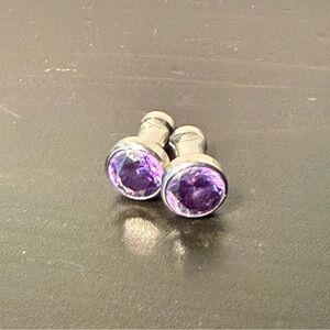 Anatometal 8g Titanium Plugs - Amethyst